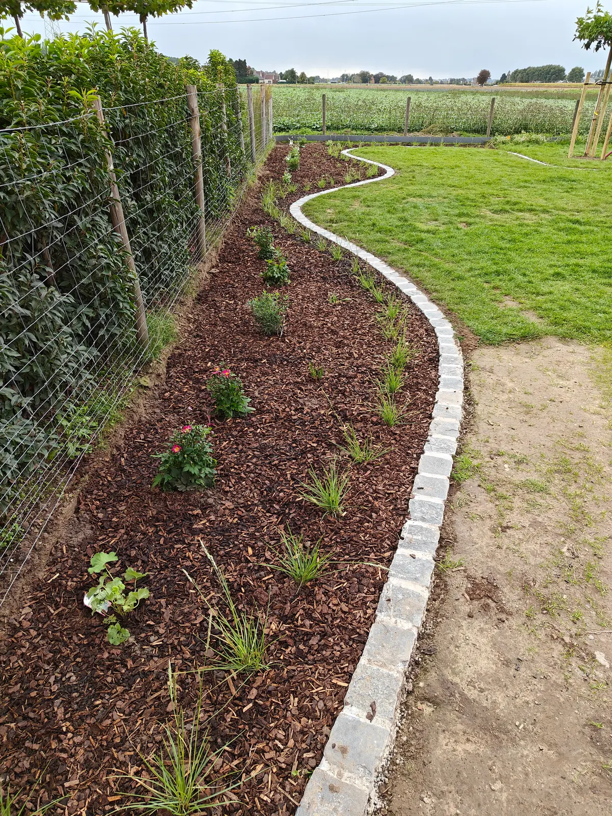 Afgewerkte golvende maaiboord van kasseien tussen het gazon en de plantenborder